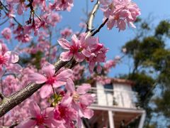 -福建鲤鱼洲酒店