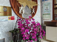 -玉雪春天(中正花园店)