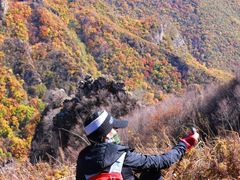 -灵山