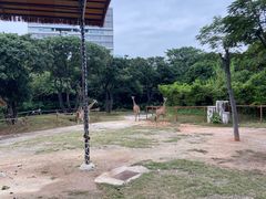 -深圳野生动物园
