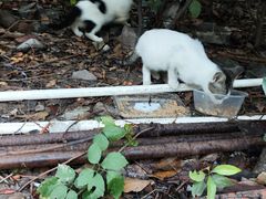 -全家便利店(愚园店)