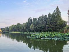 -南通濠河风景名胜区