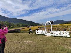 -风云岭森林公园