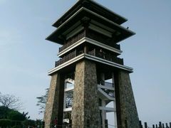-大湾区中央湿地公园