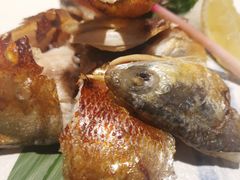 -森味薪火烧•烧鸟居酒屋•日本料理(望京店)