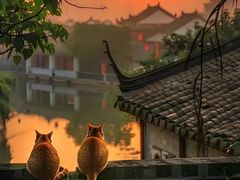 -中关村门头沟科技园