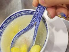 -大中鱼翅 Taitong Shark Fin
