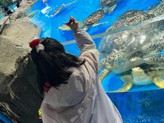 -泉城欧乐堡海洋极地世界