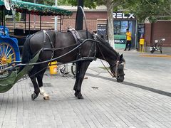 -大象厨房(重庆道店)