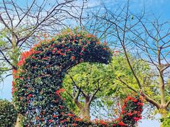 -东莞植物园
