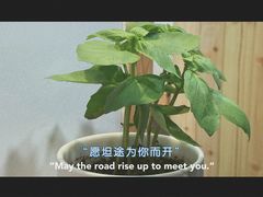 -呷贺盐酥鸡(抄纸巷店)