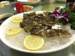 土笋冻-鑫悦楼煎蟹·16年海鲜大排档