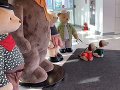 -济州岛泰迪熊博物馆