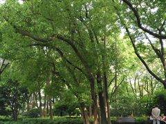 -徐家汇源景区-衡山公园