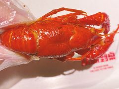 -龙巢盱眙龙虾·牛蛙·烧烤宵夜(八卦岭店)