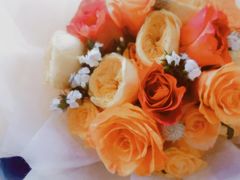 -循礼门鲜花花市(武汉循礼门店)