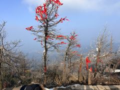 -南岳衡山风景名胜区-南岳大庙