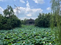 -韩湘水博园