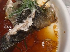 -高老庄新家宴(北斗星广场店)