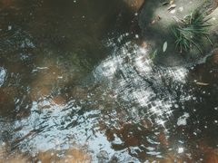 -梁野山景区