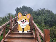 -大岭沟猕猴桃谷风景区