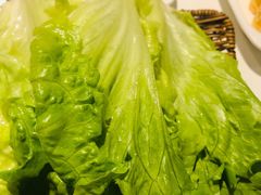 罗马生菜-老广州打边炉(宏润·翠湖天地璞园店)