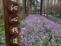 -上海怡沁园度假酒店