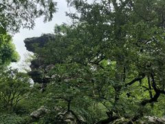 -拙政园