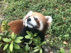 -东部华侨城