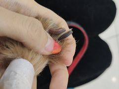 -美联众合动物医院·24h京西诊疗中心