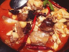 -云海肴·汽锅鸡·云南菜(天山百盛优客店)