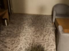 -北京民族园葉子里酒店(鸟巢店)