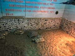 -上海大自然野生昆虫馆(东方明珠·爬宠昆虫探索中心)