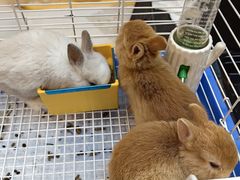 -贤花饭店(城阳店)