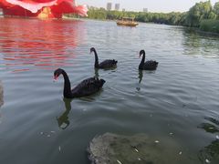 -洛阳市隋唐城遗址植物园