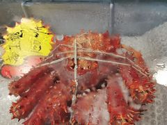 -渔人湾码头海鲜市场负二楼