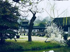 -盆景园(扬州大运河文化旅游度假区)