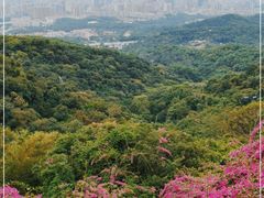 -广州市白云山风景名胜区