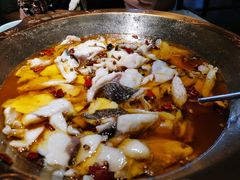 招牌水煮三峡鱼-雲蜀龙阁·金牌水煮鱼(方庄店)