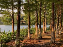 -艾溪湖湿地公园