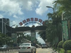 -深圳野生动物园