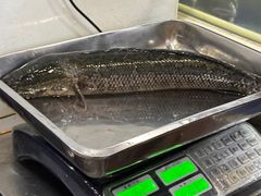 -活鱼馆(宜兴埠店)