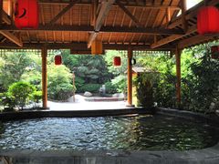 -西安国际创新人才交流中心•药浴温泉