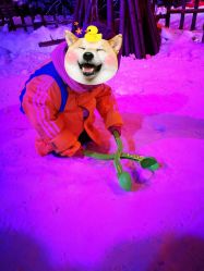 -圣名游乐城冰雪大世界
