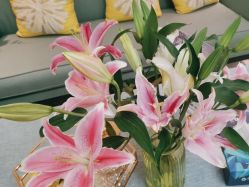 -静博士·养生养颜