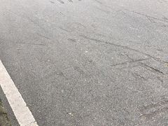 -火炉山森林公园