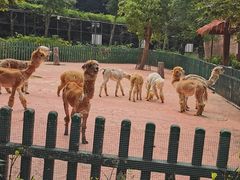 -无锡动物园·太湖欢乐园