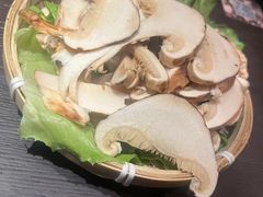 -芸鲜季·云南野生菌餐厅· 云南风物味研社(闵行店)