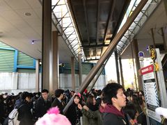 -飞天翼龙