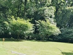 -西湖风景区-江洋畈生态公园